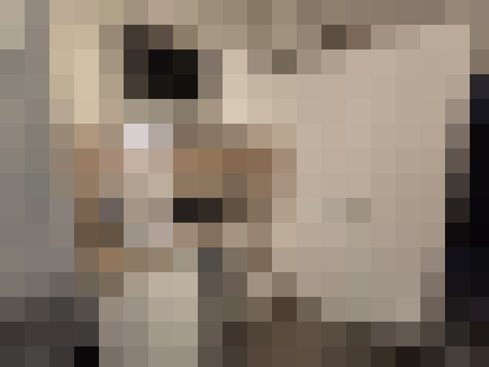  / #14