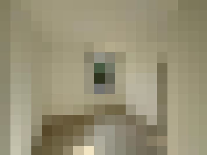  / #16