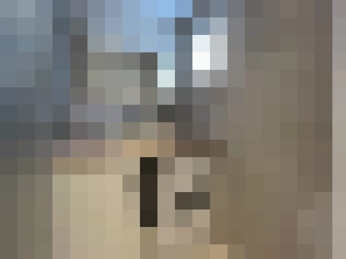  / #11