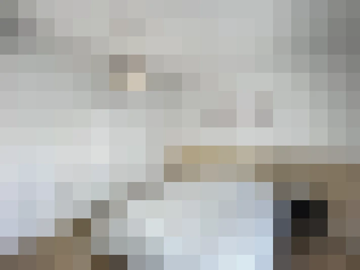  / #15