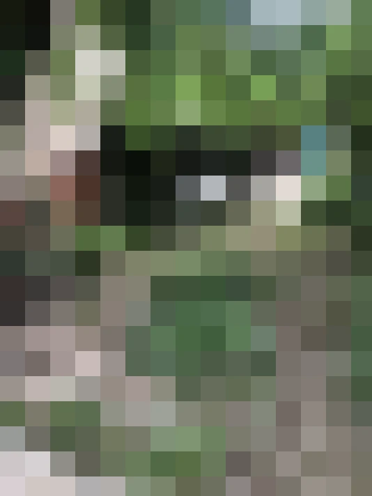  / #16