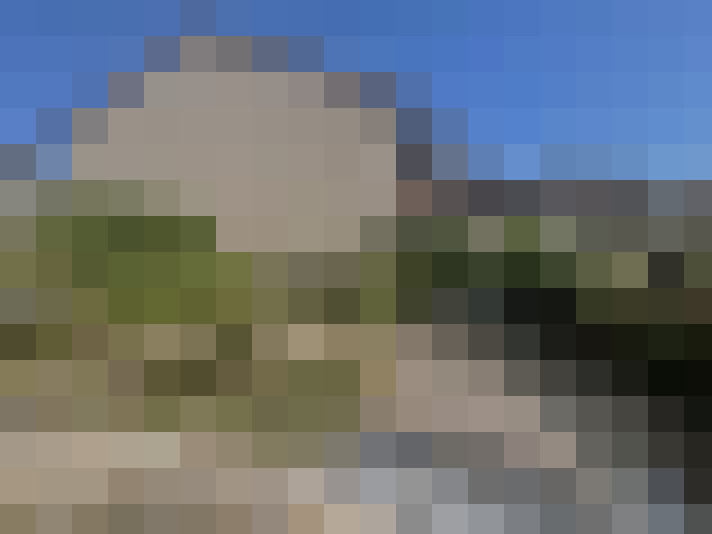  / #7