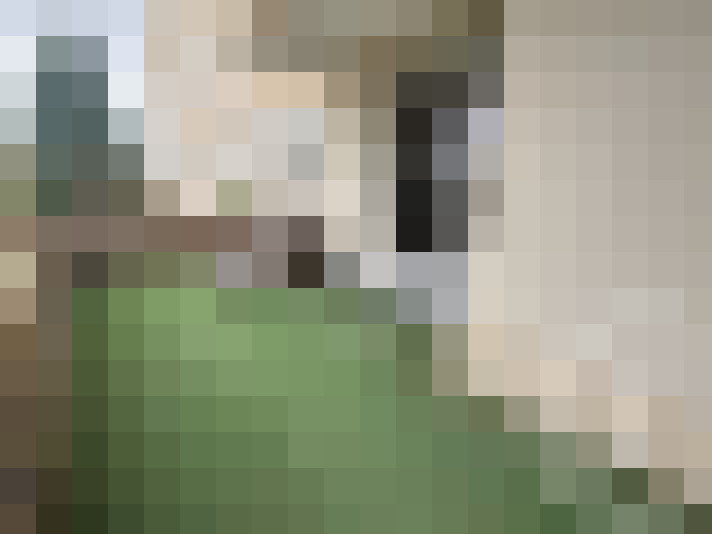  / #7