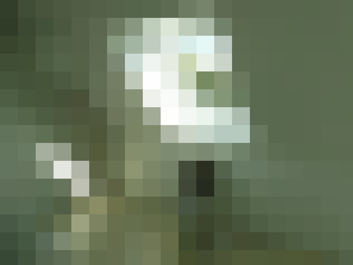  / #13