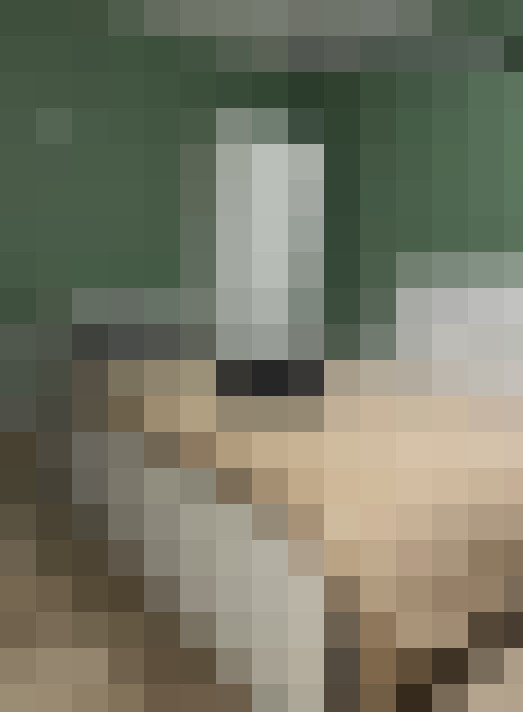 / #11