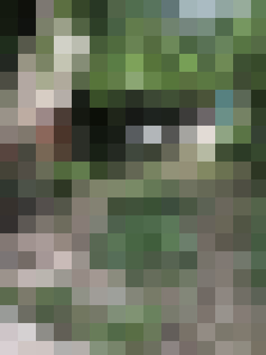  / #16