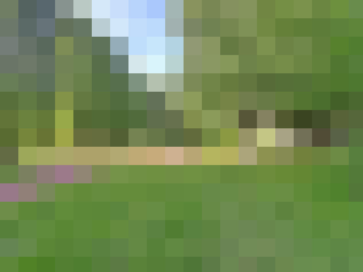  / #16