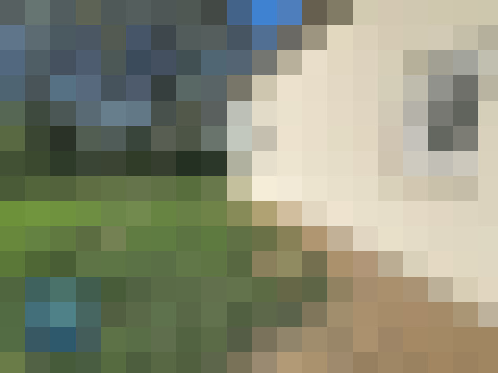  / #14