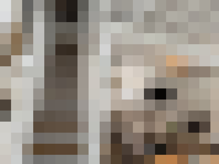  / #17