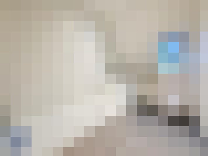  / #9