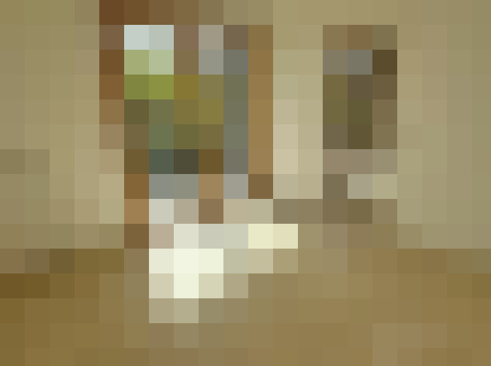  / #6