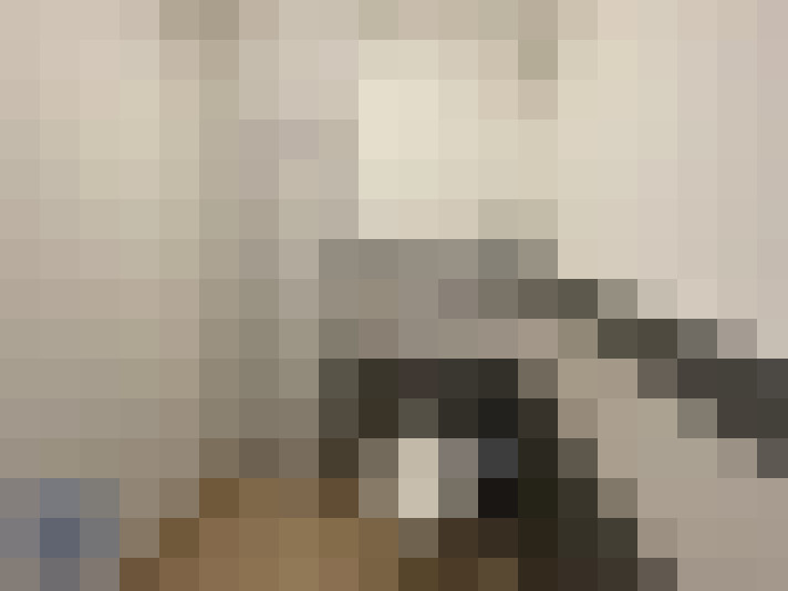  / #13
