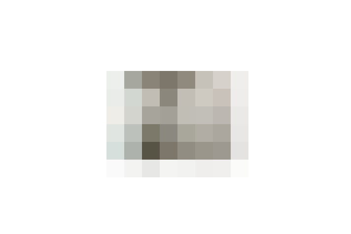  / #17