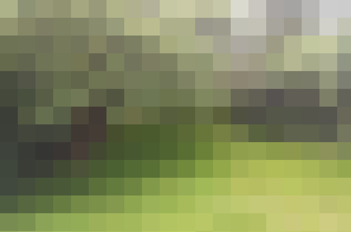  / #16