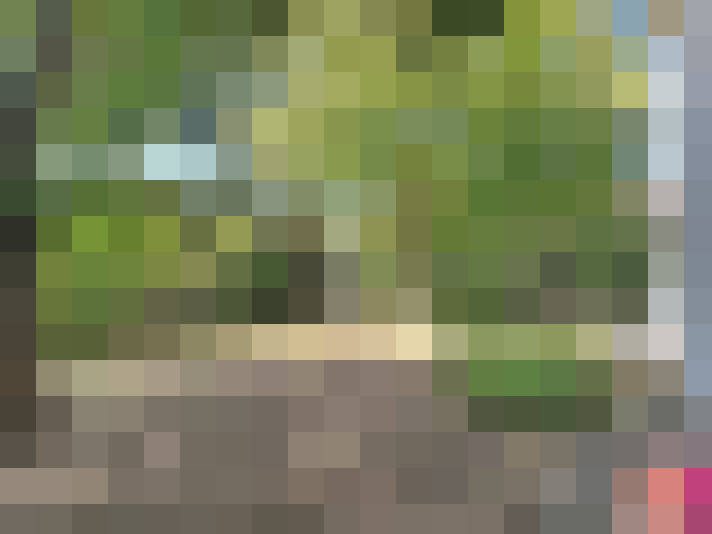  / #12
