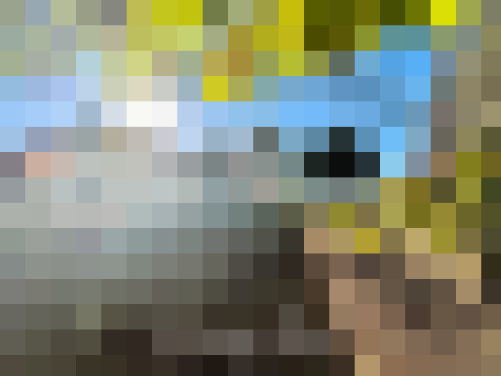  / #13