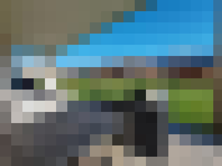  / #12