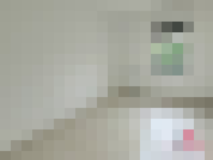  / #17