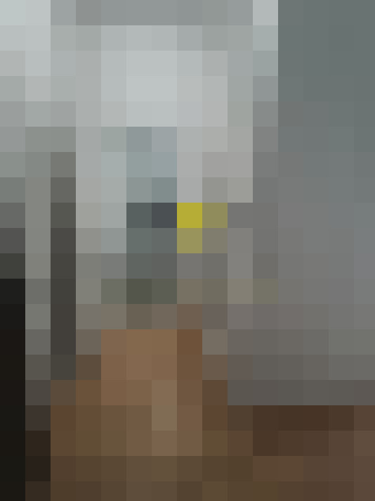  / #14