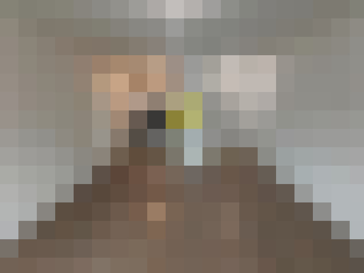  / #11