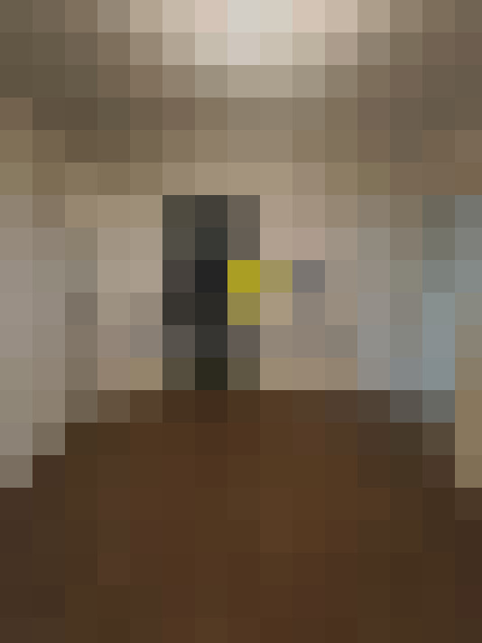  / #13