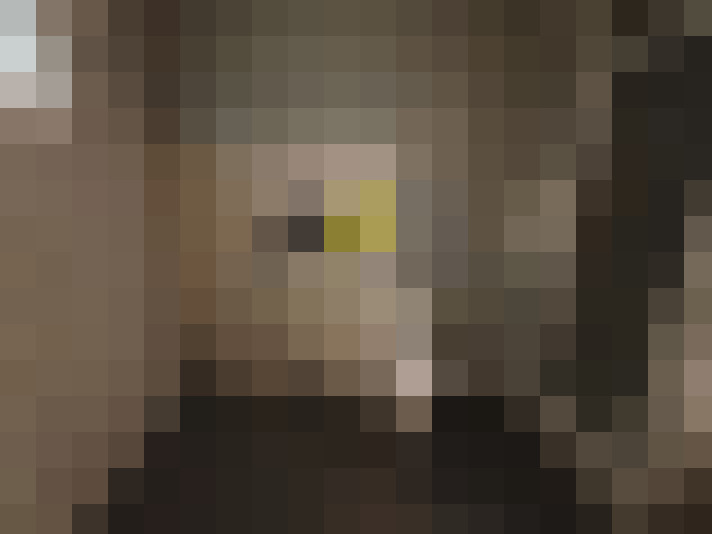  / #11