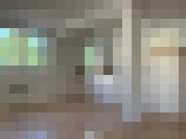  / #14