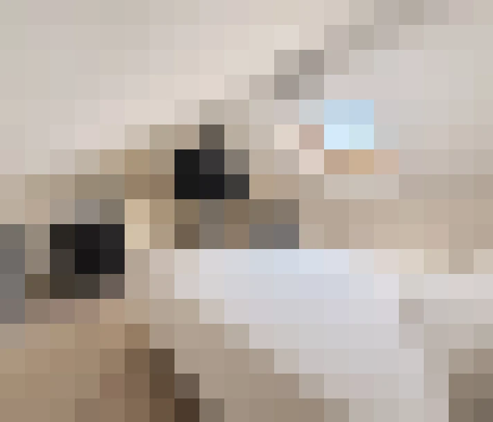  / #13