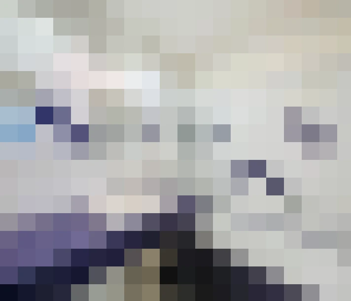  / #17