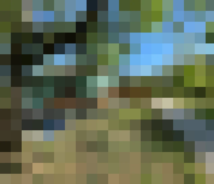  / #7