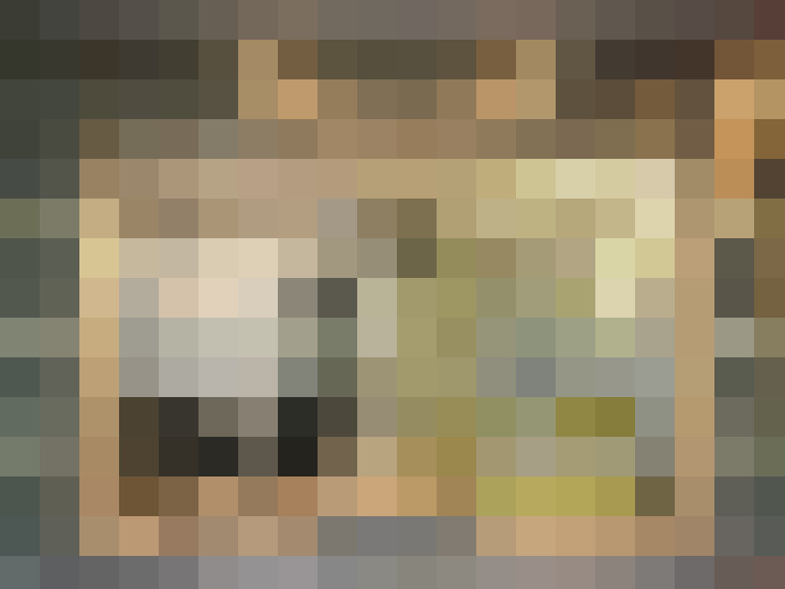  / #19