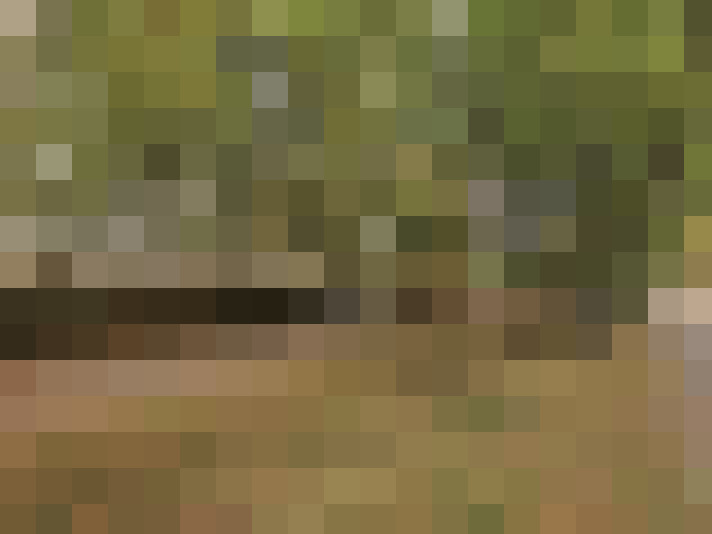  / #14
