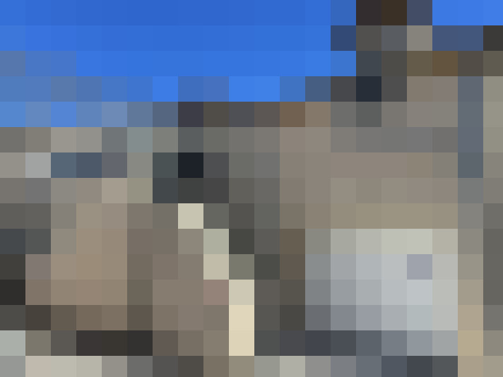  / #11