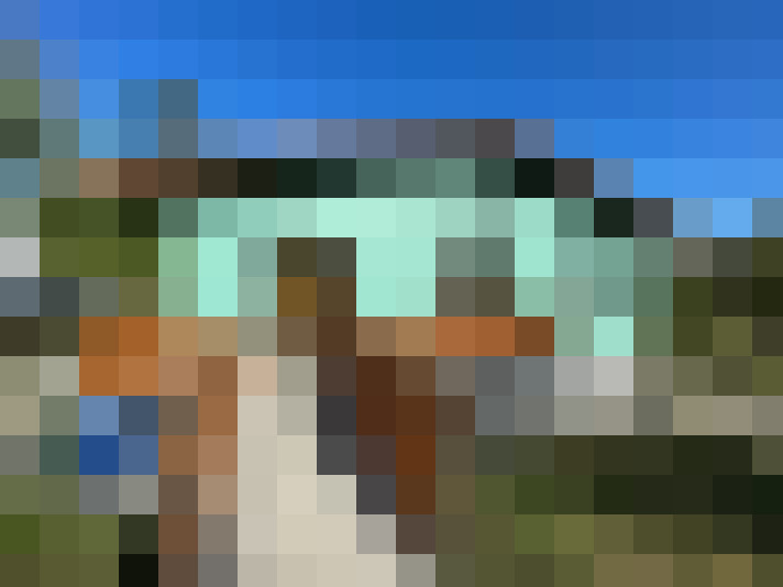  / #6