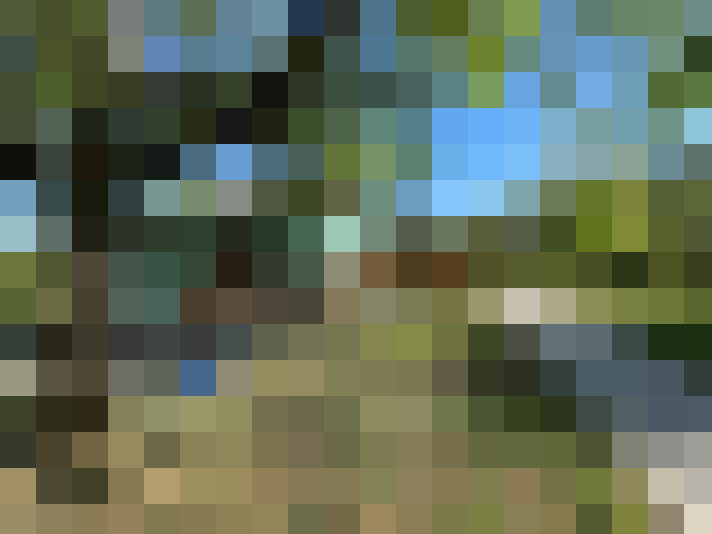  / #7