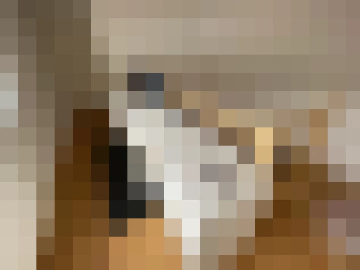  / #14