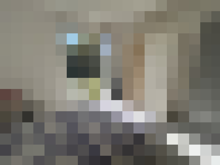  / #7