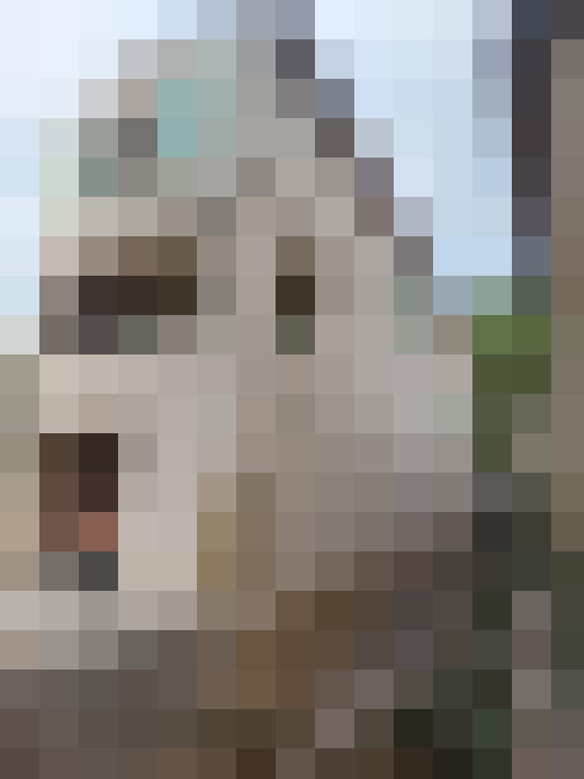  / #13