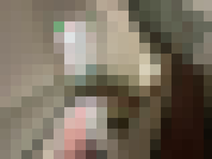  / #16