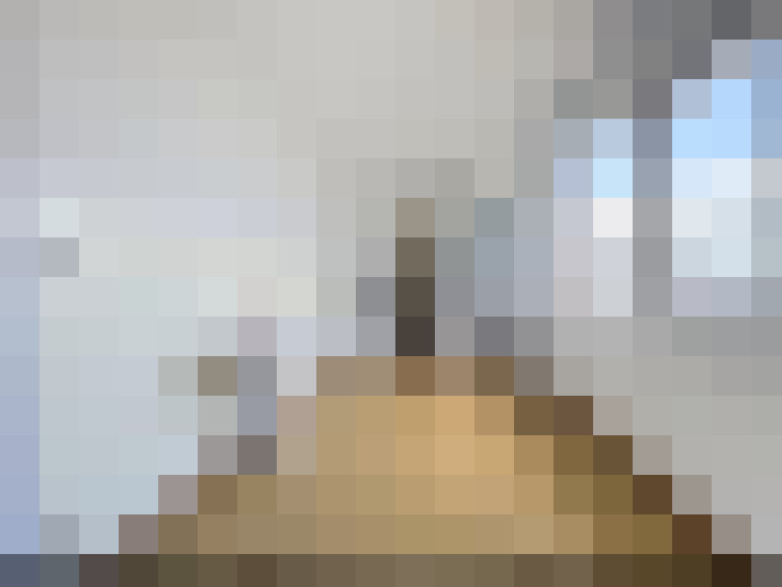  / #16