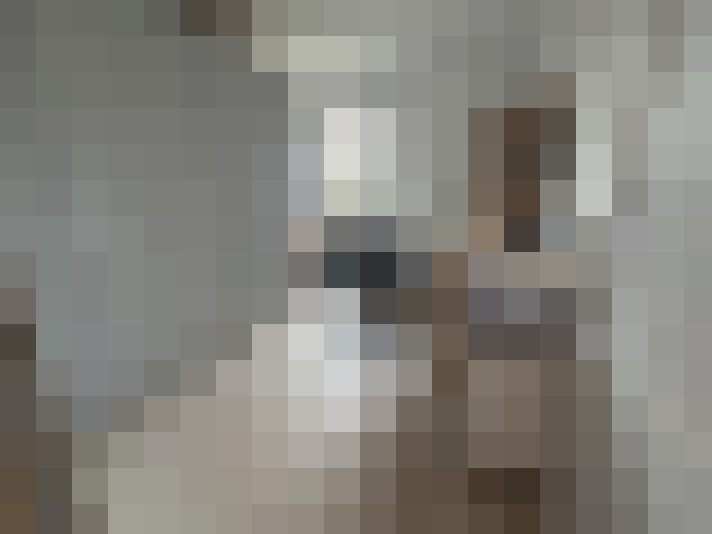  / #15