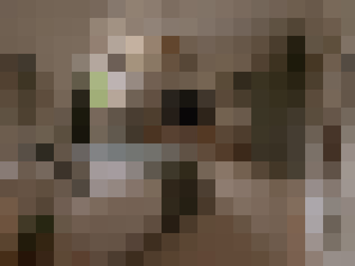 / #9