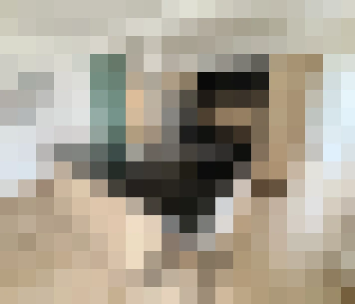  / #13