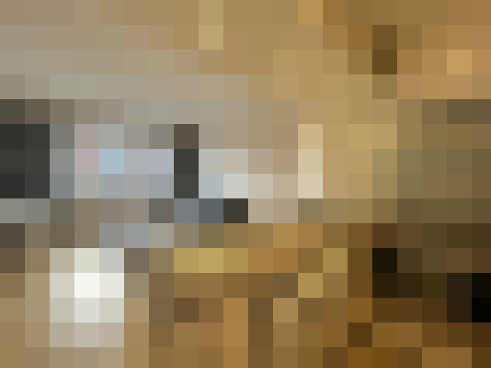  / #24