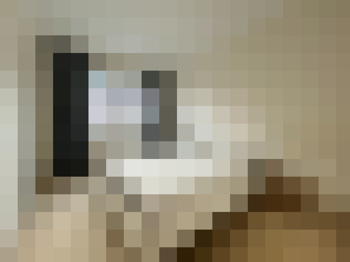  / #20