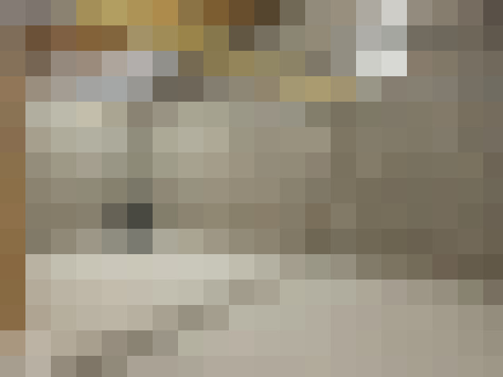  / #14