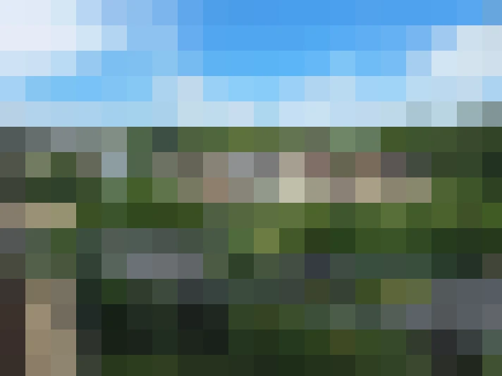  / #13