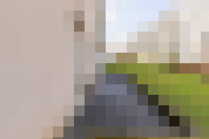  / #13