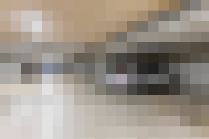  / #20