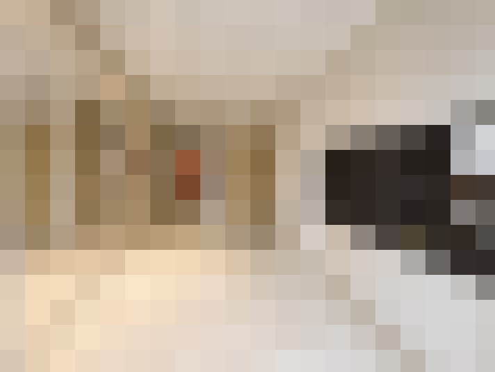  / #17